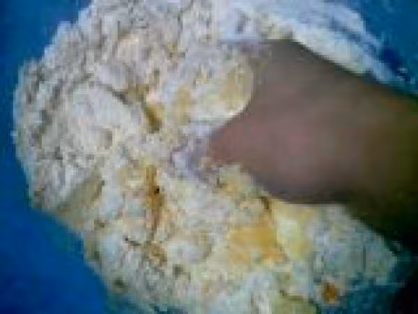Pate sucree6