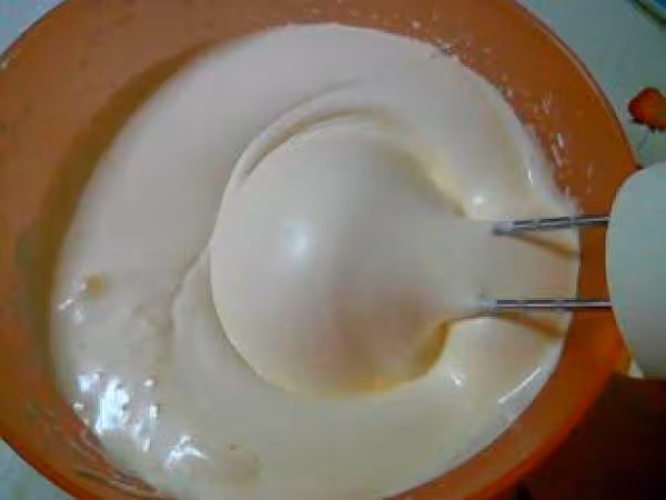 Roule choco coco5