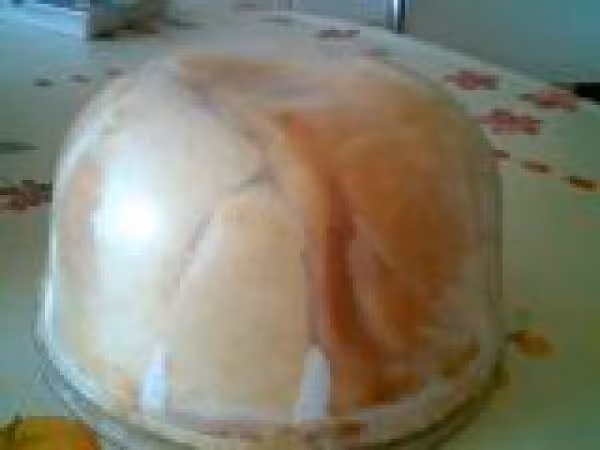 Zuccotto aux 4 cremes21