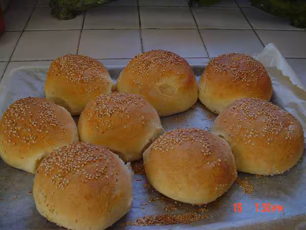 Mes premiers hamburgers