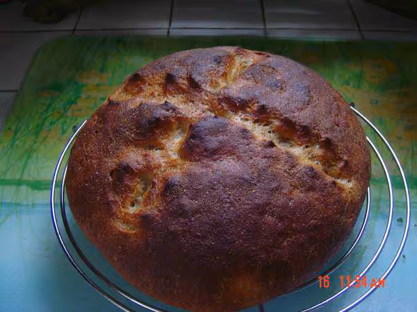 Pain 100 kamut au levain fermentiscible