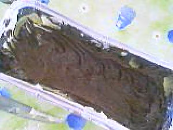 Marbre avant cuisson