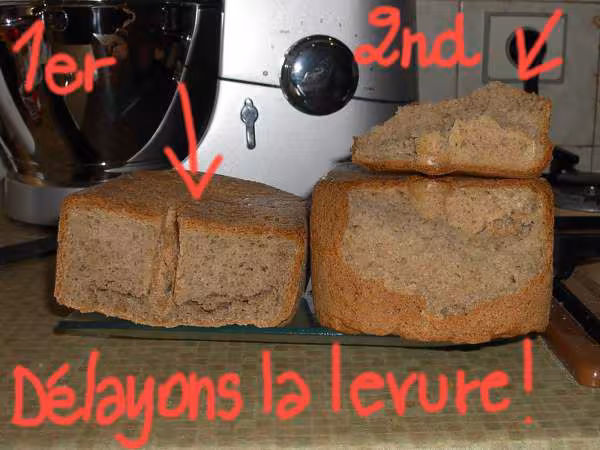 Pains 1 et 2 levure delayee ou pas