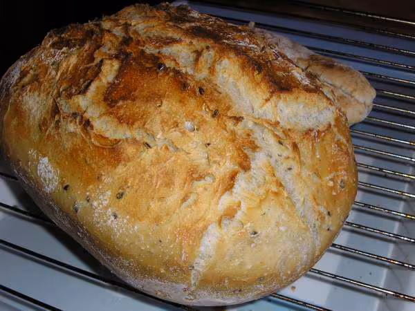 La miche enfournee four froid plat tupper