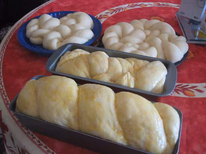 Brioche yasmina
