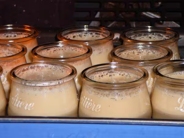 Flans vanille