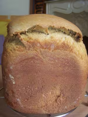 Recettes pour map home bread moulinex