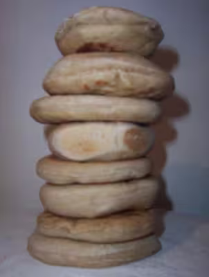 Recettes home bread moulinex.(th 60)