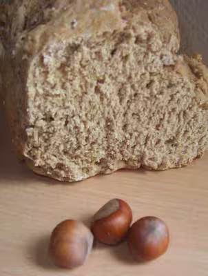 Recettes home bread moulinex.(th 60)