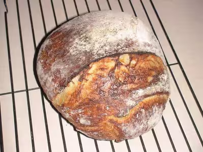 Pain sans pétrissage