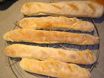 cherche R7 pain aux lardons
