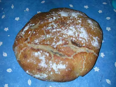 Recette du levain liquide