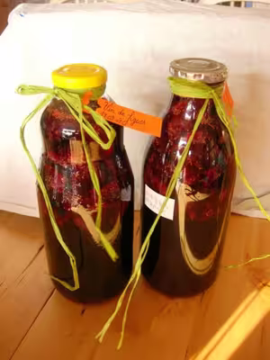 Vin de figues aux fruits rouges