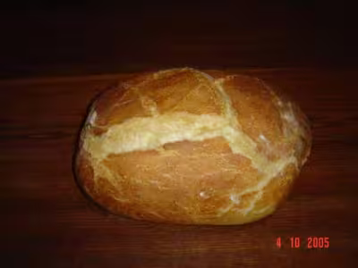 Levain fermentescible