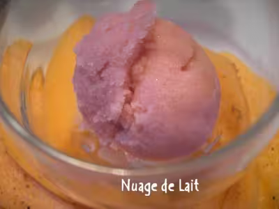 Sorbet au porto