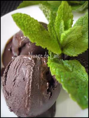 Sorbet chocolat/menthe
