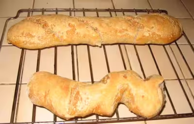 Pains, 100 recettes croustillantes. recettes testées
