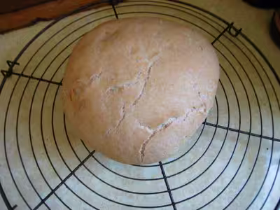 Pains, 100 recettes croustillantes. recettes testées