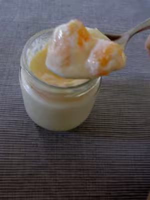 Yaourt au melon