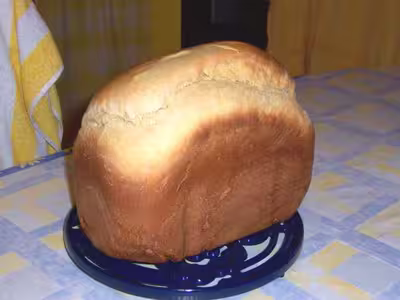 paton de brioche