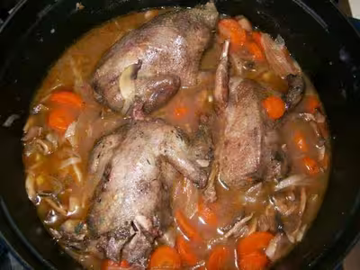 Pigeon en cocotte