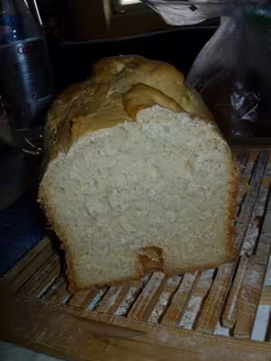 Mon levain liquide inratable (10)