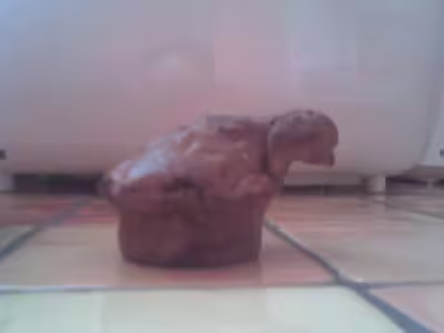 Recette WW : Carot cake au nutnut