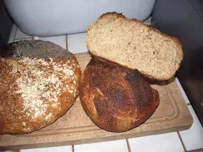Mon levain liquide inratable (8)
