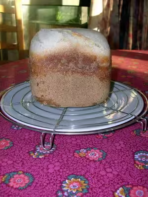 Recettes home bread moulinex.(th 60)