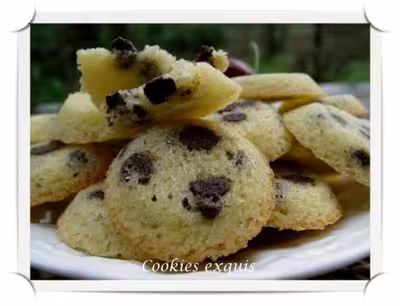 Recette Thermomix: Cookies exquis