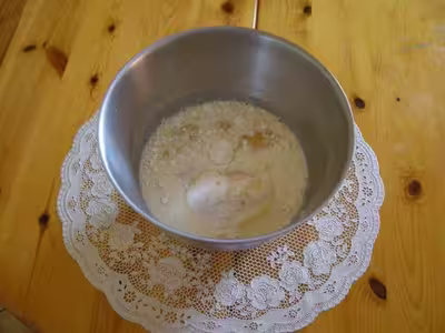 Pâte à brioche en chinois