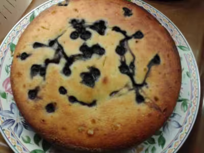 Gâteau aux myrtilles et aux amandes au délicook par cosmos