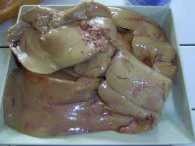 Nouvelles recettes wetwet