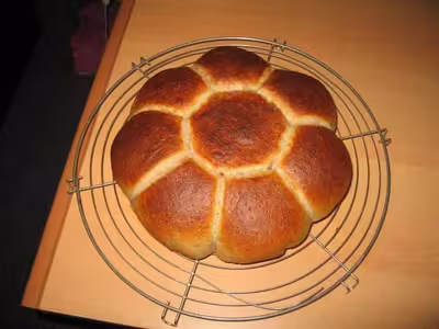 Mon levain liquide inratable (8)