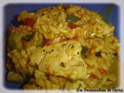 Risotto dinde-curry (photo)