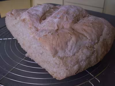 Pains, 100 recettes croustillantes. recettes testées