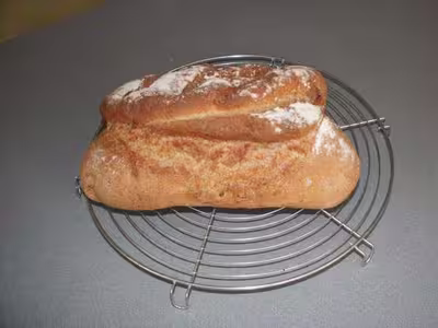 Recette du levain liquide