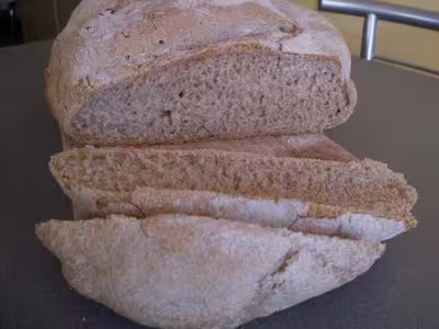 Pains, 100 recettes croustillantes. recettes testées