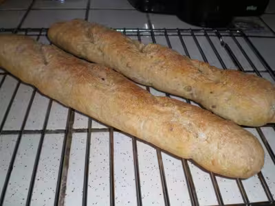 Mon levain liquide inratable (10)