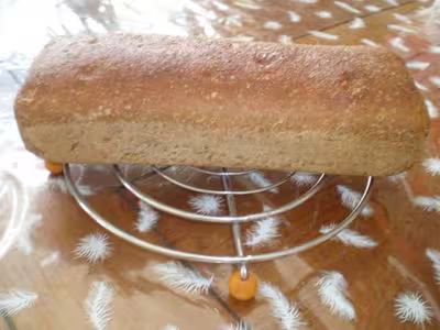 Mon levain liquide inratable (10)