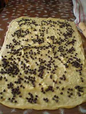 Mon levain liquide inratable (10)