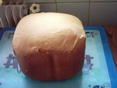 Map xbm 838: Brioche vendéenne (th50)