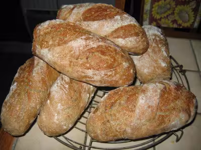 Pain sans pétrissage (suite)