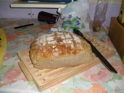 Pains, 100 recettes croustillantes. recettes testées