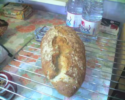 Pains, 100 recettes croustillantes. recettes testées