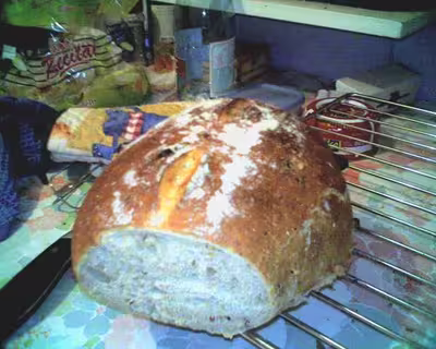 Pains, 100 recettes croustillantes. recettes testées
