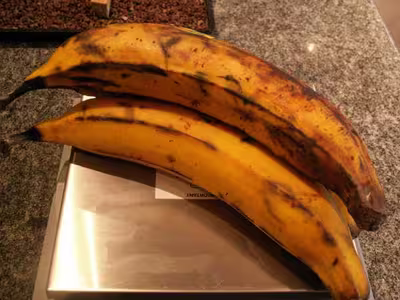 Recettes exotiques