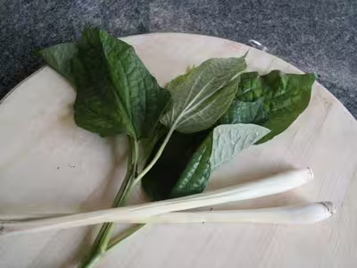 Recettes exotiques