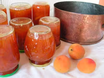 Pains, 100 recettes croustillantes. recettes testées