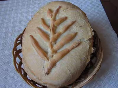 Pains, 100 recettes croustillantes. recettes testées